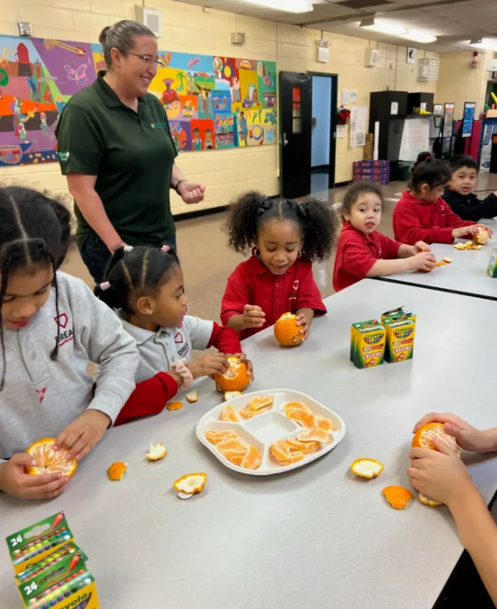 students with oranges and crayons